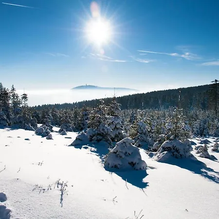 Apartment Haus Nietmann_ 3 *