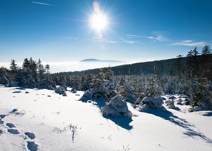 公寓 Haus Nietmann_ 3 *